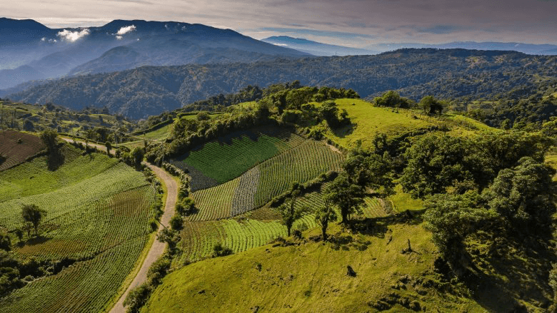 Paesaggio agricolo italiano